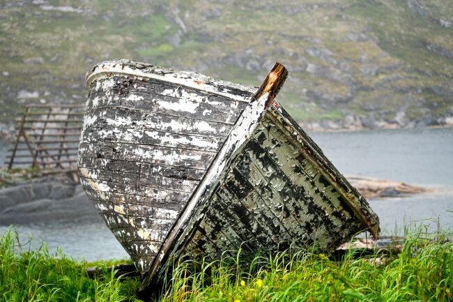 Newfoundland Photography